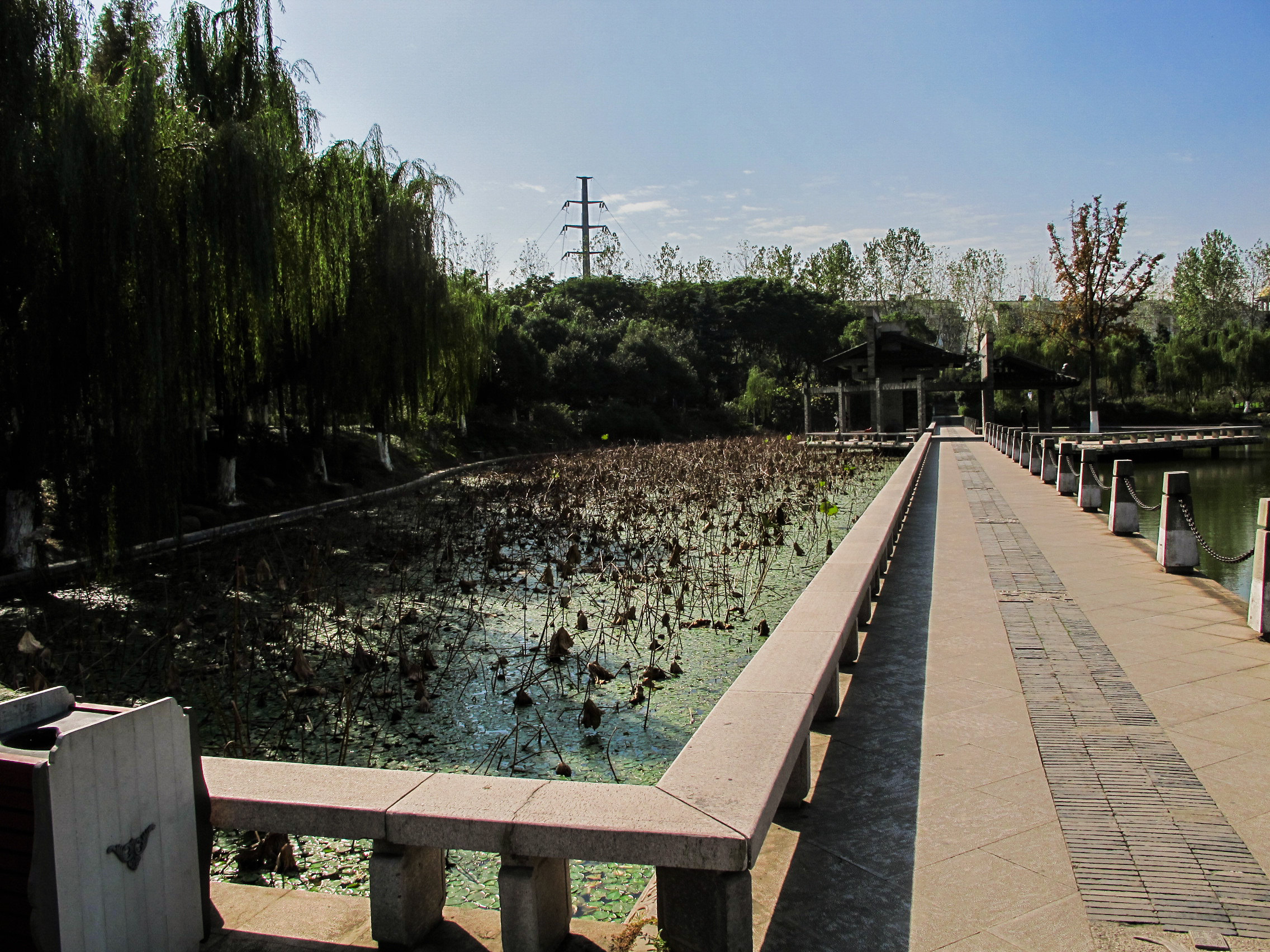 【携程攻略】江苏常州荆川公园好玩吗,江苏荆川公园景点怎麼样