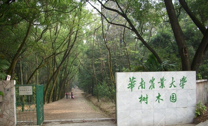 华南农业大学树木园图片