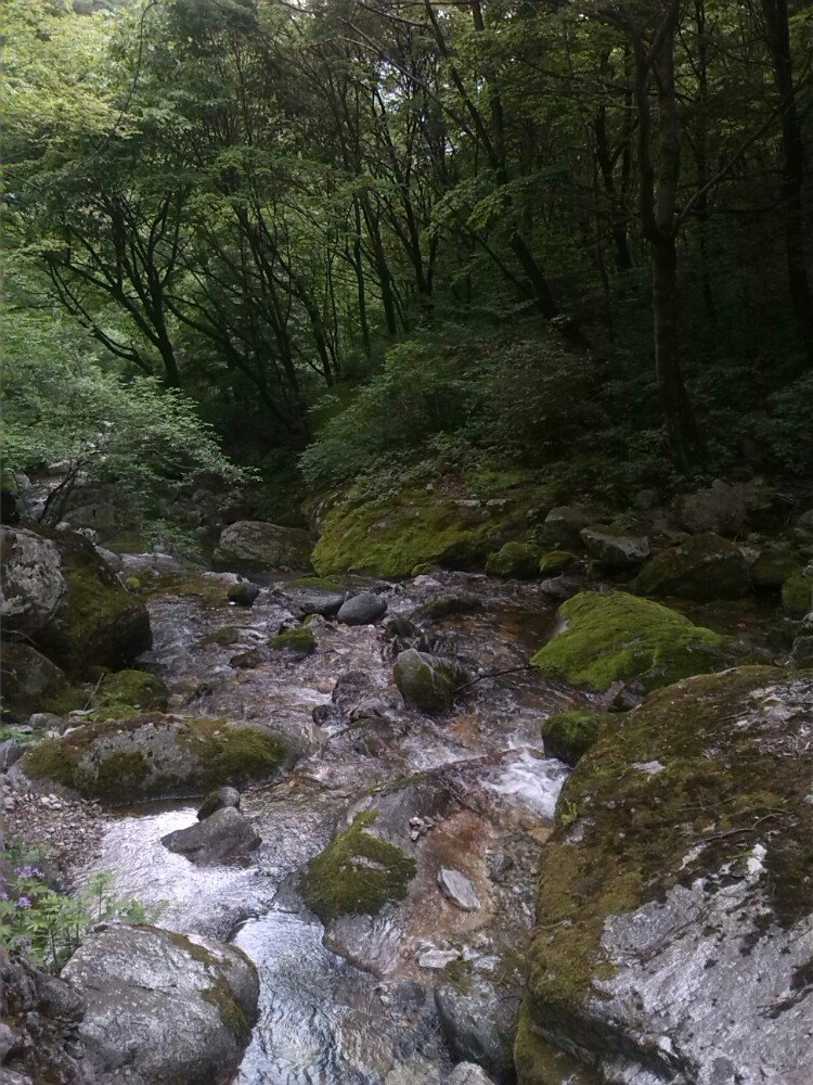 秦岭大坝沟景区