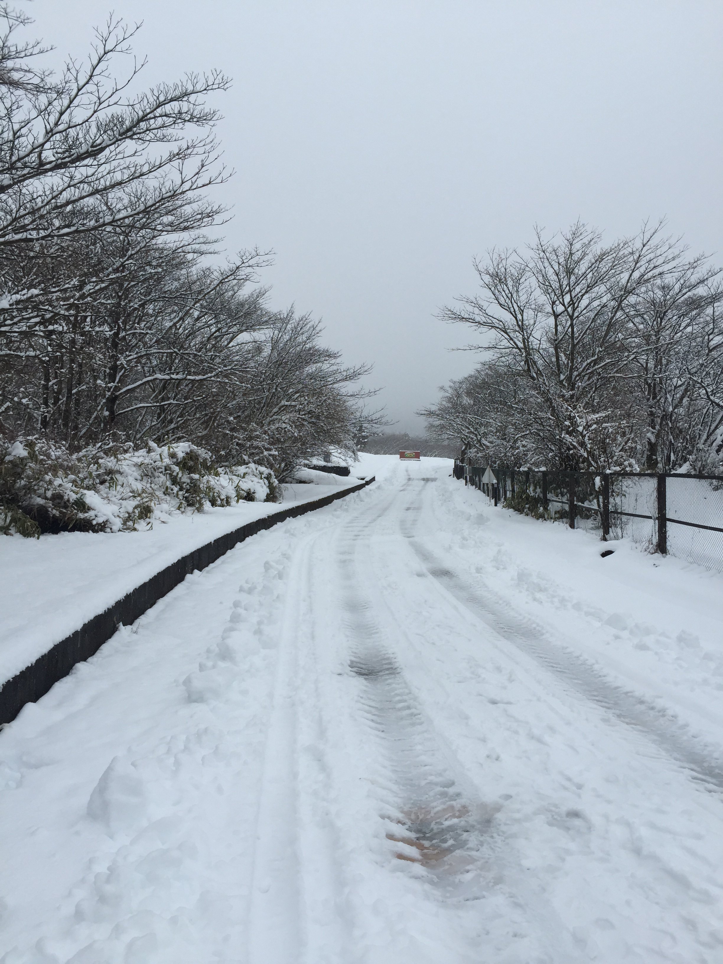 北国风光白雪茫茫