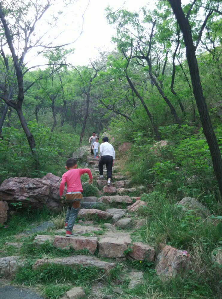 2019牛山森林公園_旅遊攻略_門票_地址_遊記點評,肥城旅遊景點推薦