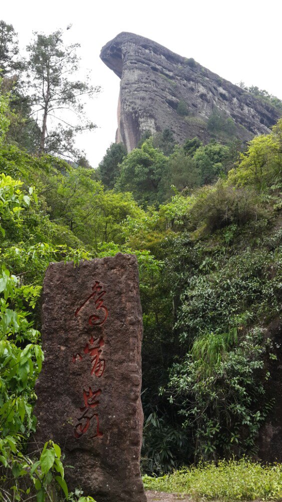 金佛山金佛山鹰嘴岩图片