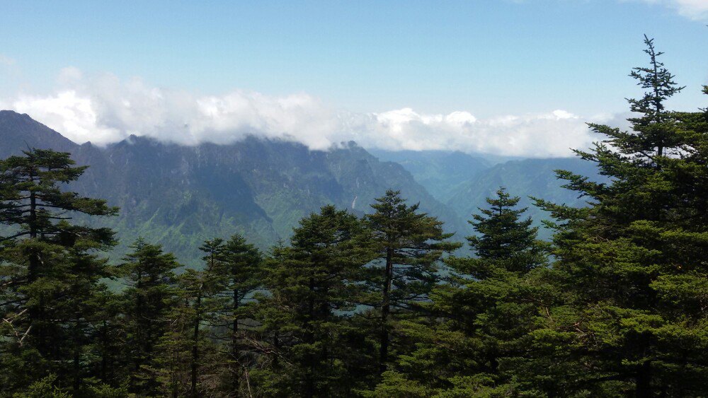 2019神農頂風景區_旅遊攻略_門票_地址_遊記點評,神農架旅遊景點推薦