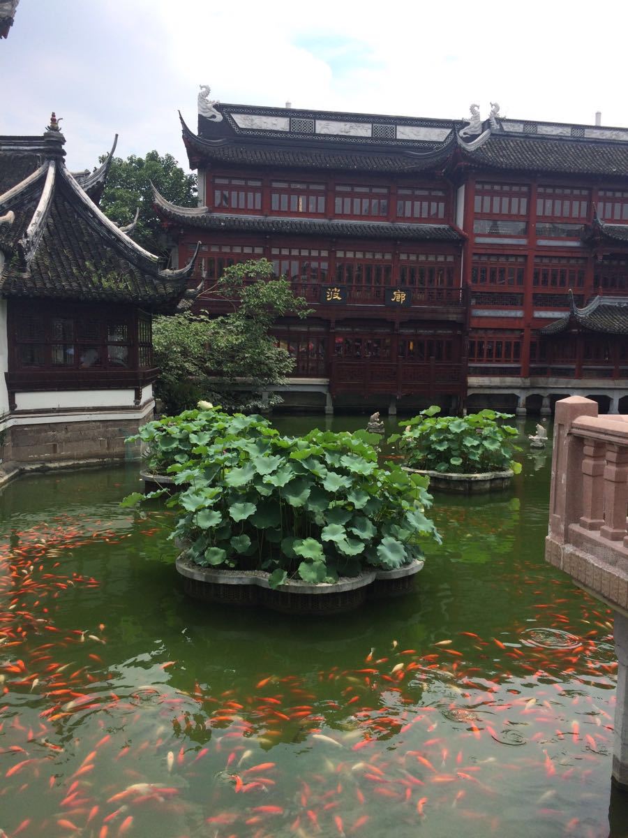 2019豫园-旅游攻略-门票-地址-问答-游记点评,上海旅游旅游景点推荐