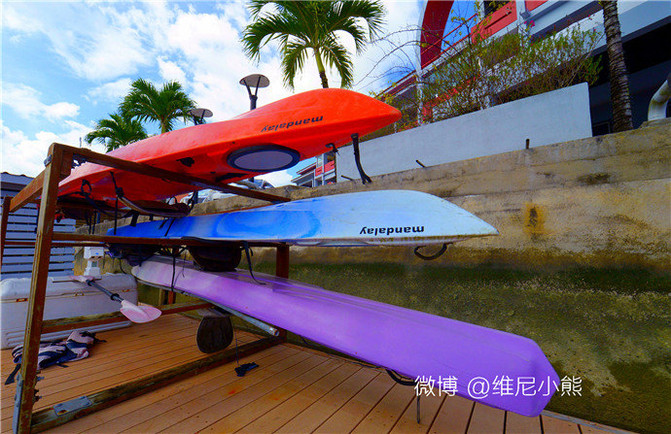 【帕劳】在上帝水族箱里与黄金水母共舞