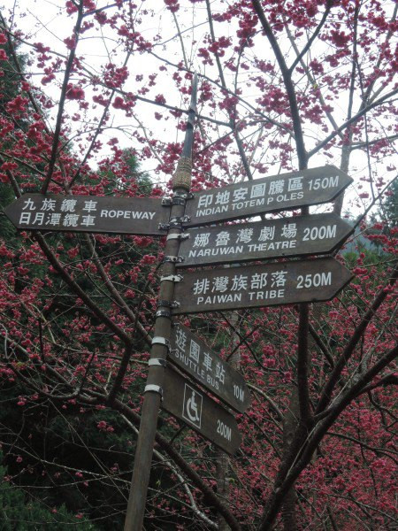 【BlackCat】初見“台灣”—西線篇-旅人制造