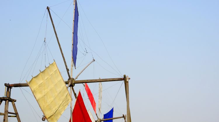 莲花岛风车阵公园