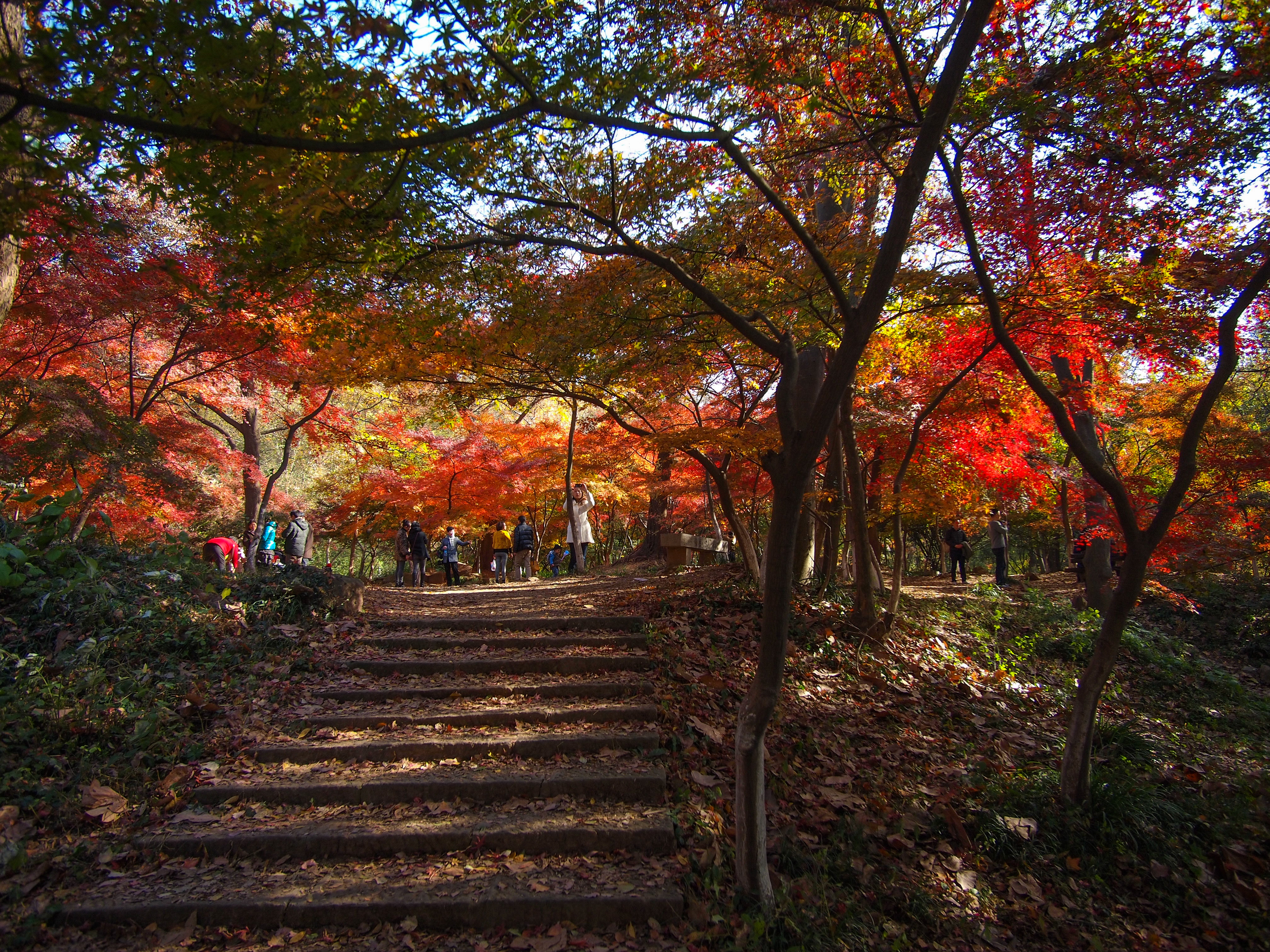 【携程攻略】南京栖霞山适合单独旅行旅游吗,栖霞山单独旅行景点推荐