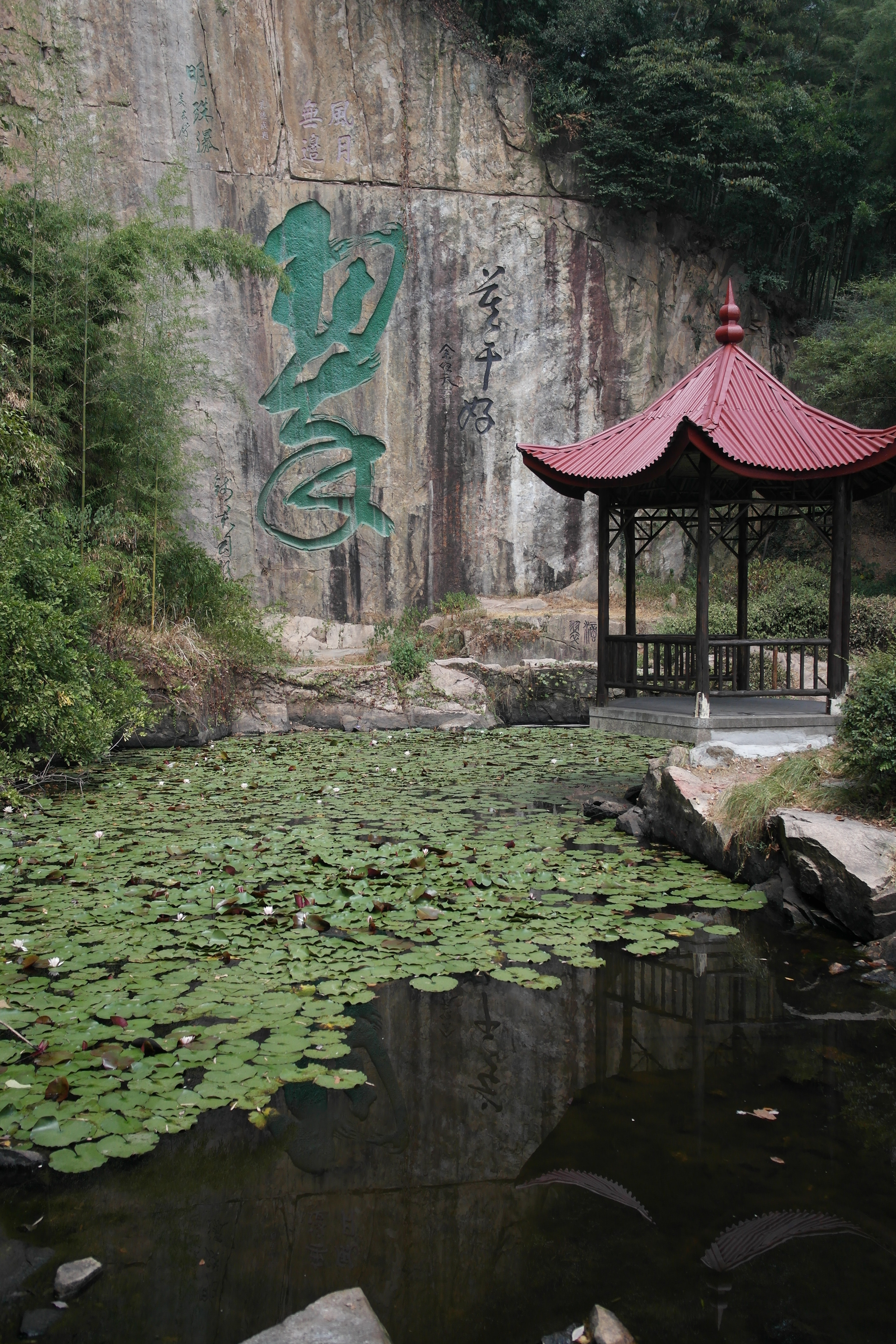 2020滴翠潭-旅游攻略-门票-地址-问答-游记点评,莫干山旅游旅游景点