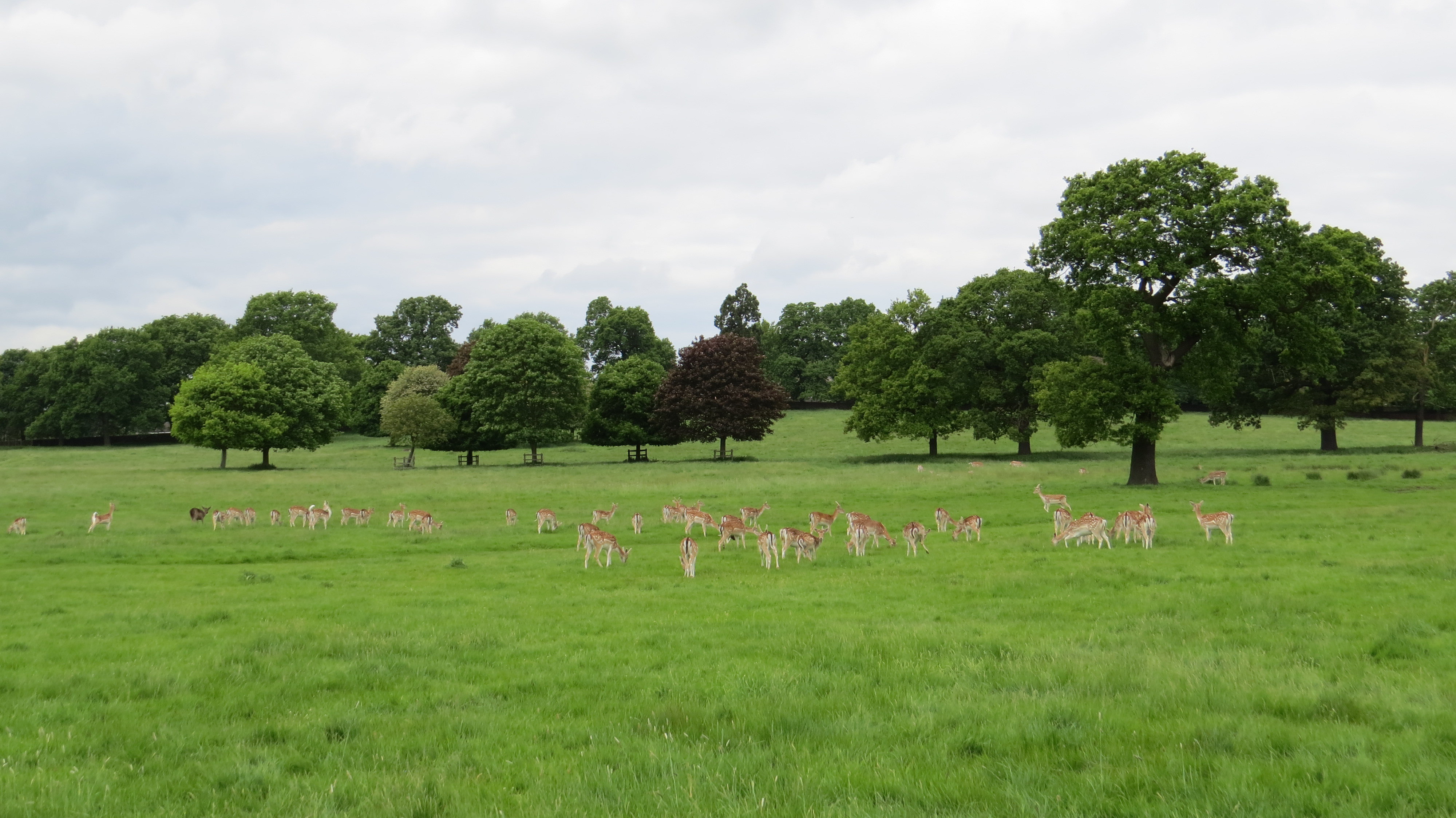 英国诺丁汉休闲游---wollaton公园,比斯顿镇与特伦特河,市中心
