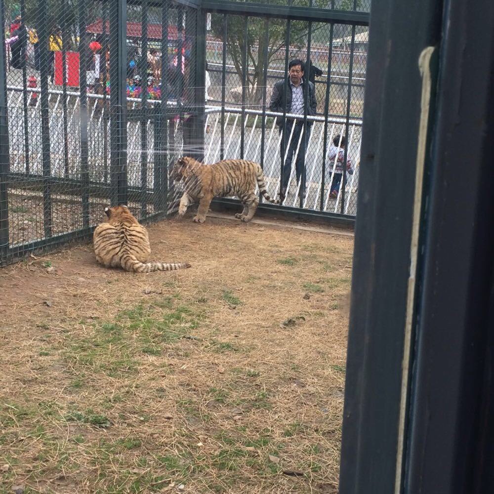 無錫動物園(太湖歡樂園)