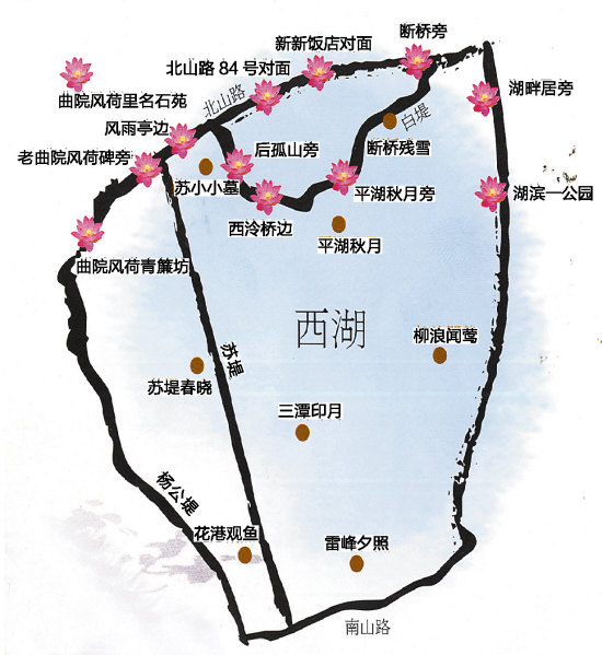 杭州曲院风荷景区地图图片