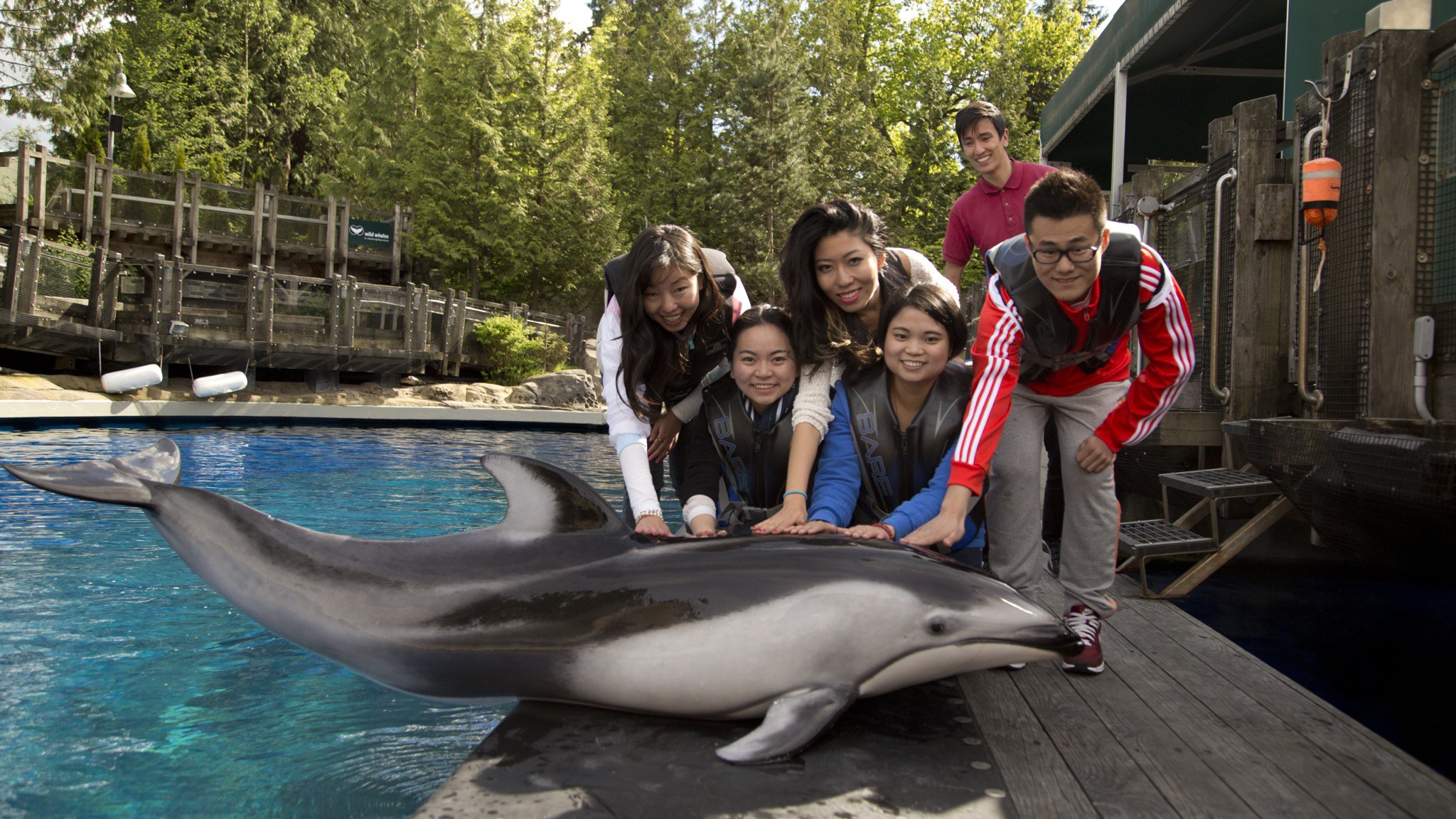 【携程攻略】温哥华温哥华水族馆适合朋友出游旅游吗,温哥华水族馆