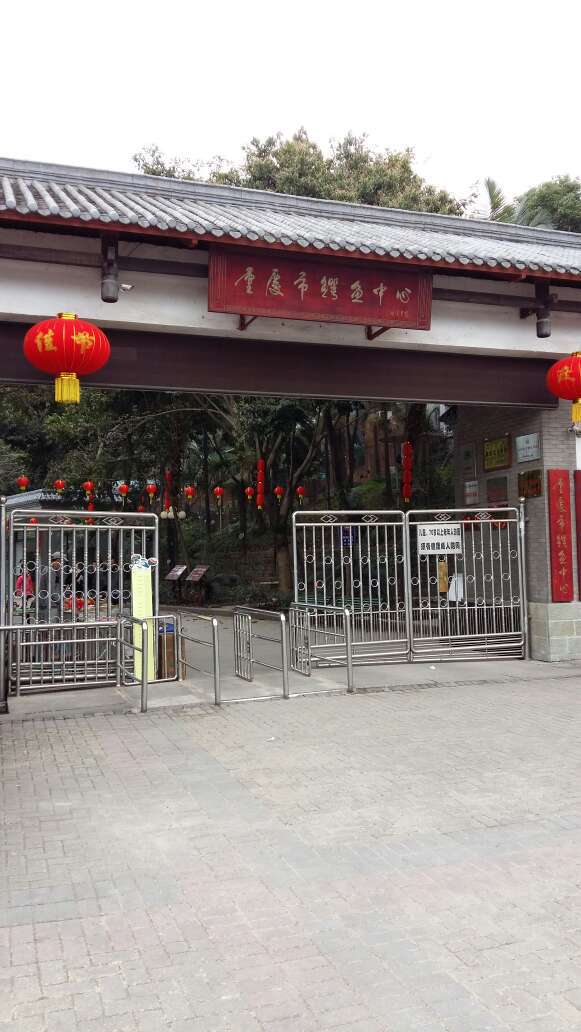 重庆鳄鱼养殖中心图片