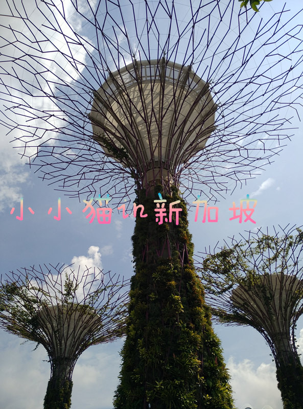 南纬8°巴厘岛+新加坡转机(含菜单中英文)(入