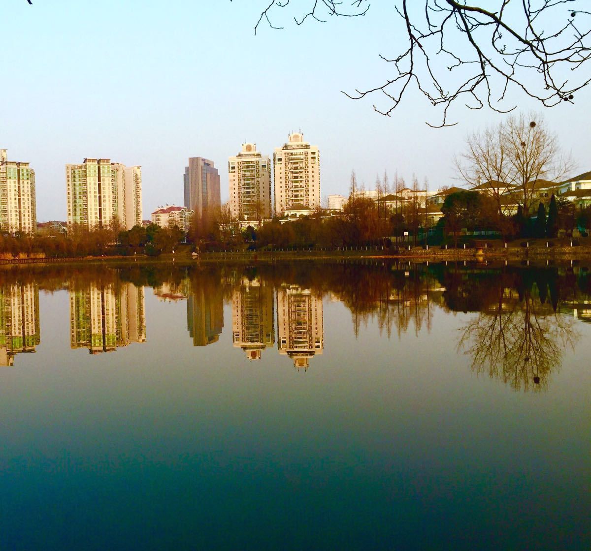 东西湖区走马岭月牙湖图片