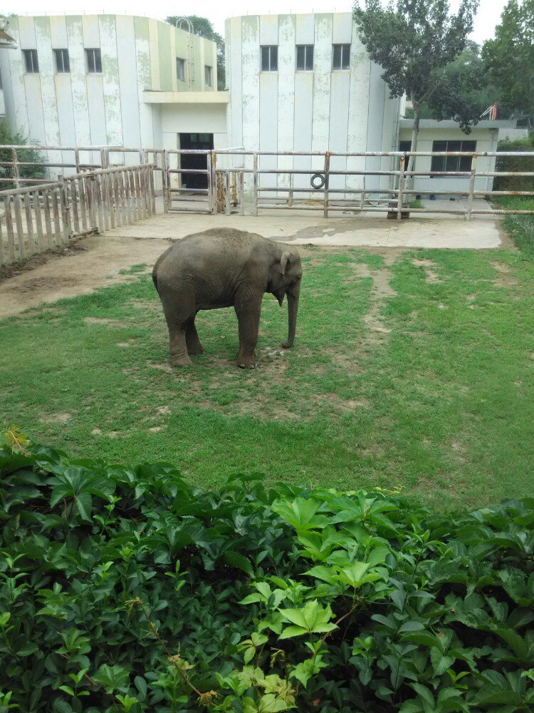 2019濟南動物園_旅遊攻略_門票_地址_遊記點評,濟南旅遊景點推薦 - 去