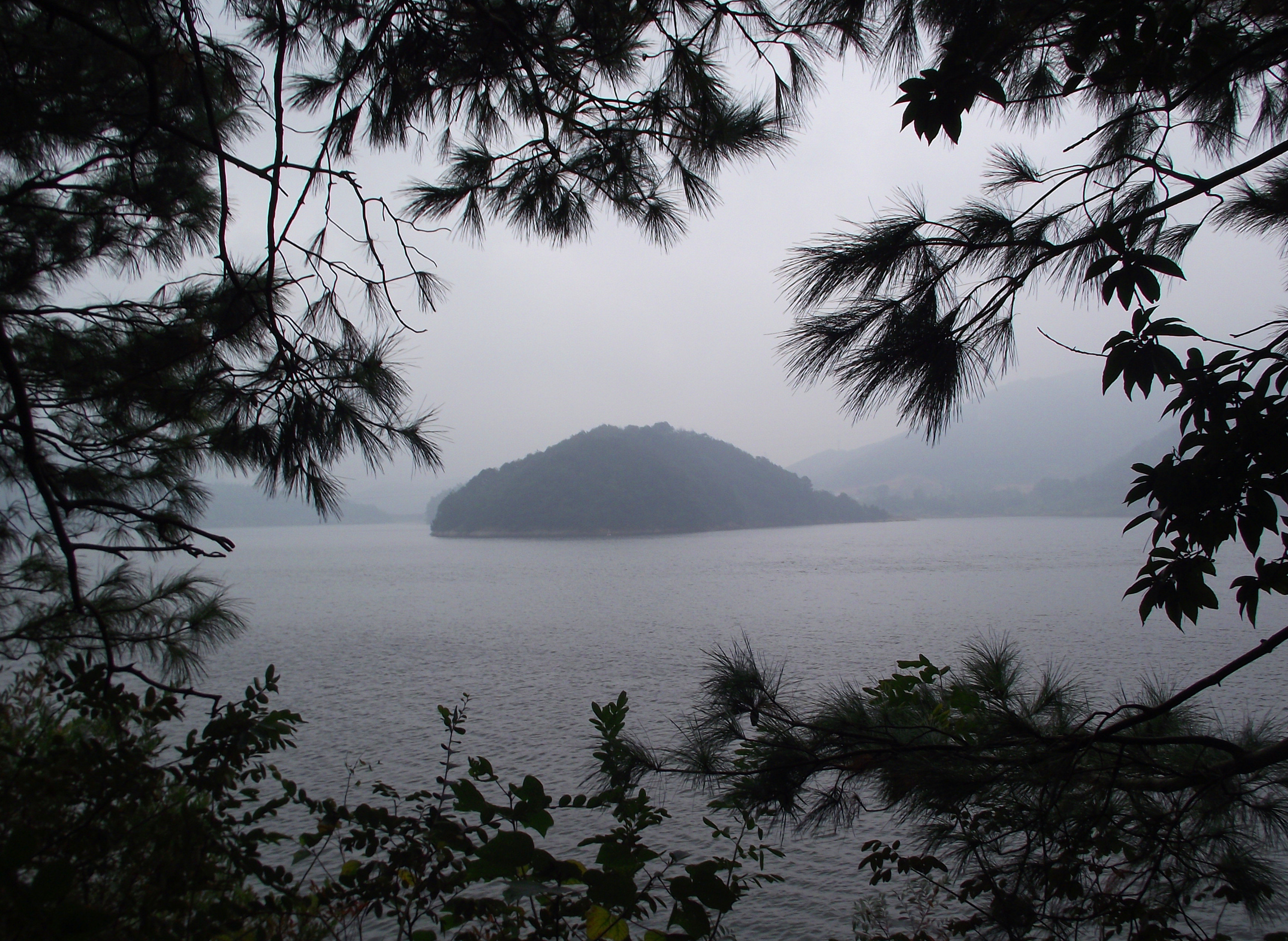 九龙湖景区