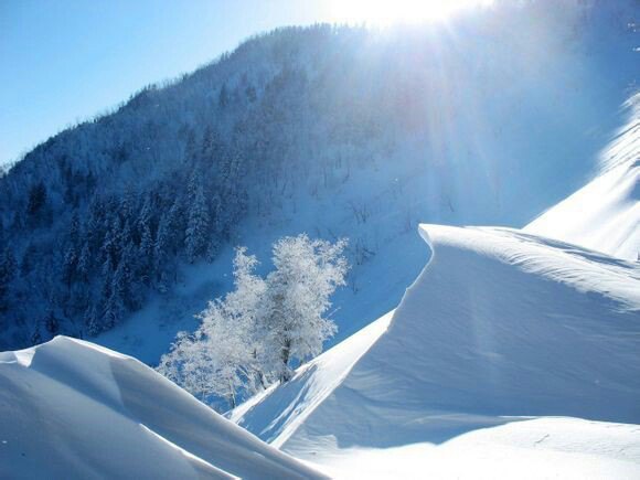 長白山凱悅酒店#請問,清明節去還能滑雪嗎