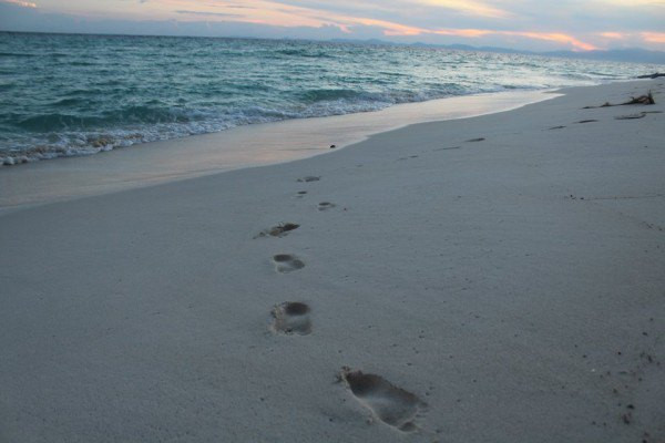 一次青春的旅行,恋上美人鱼岛4