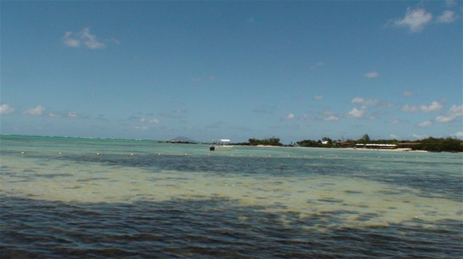 [原创]毛里求斯酒店档次就看沙滩的质量--毛求