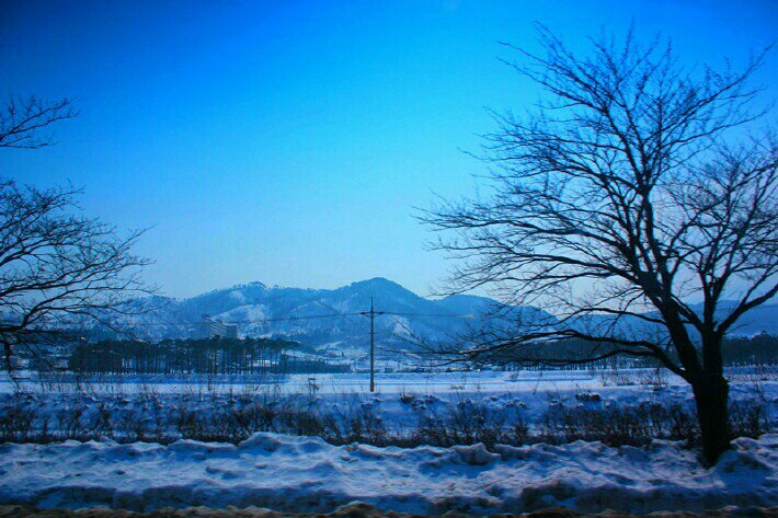 【携程攻略】春川市南怡岛景点,南怡岛的风景唯美,是冬季恋歌的拍摄地