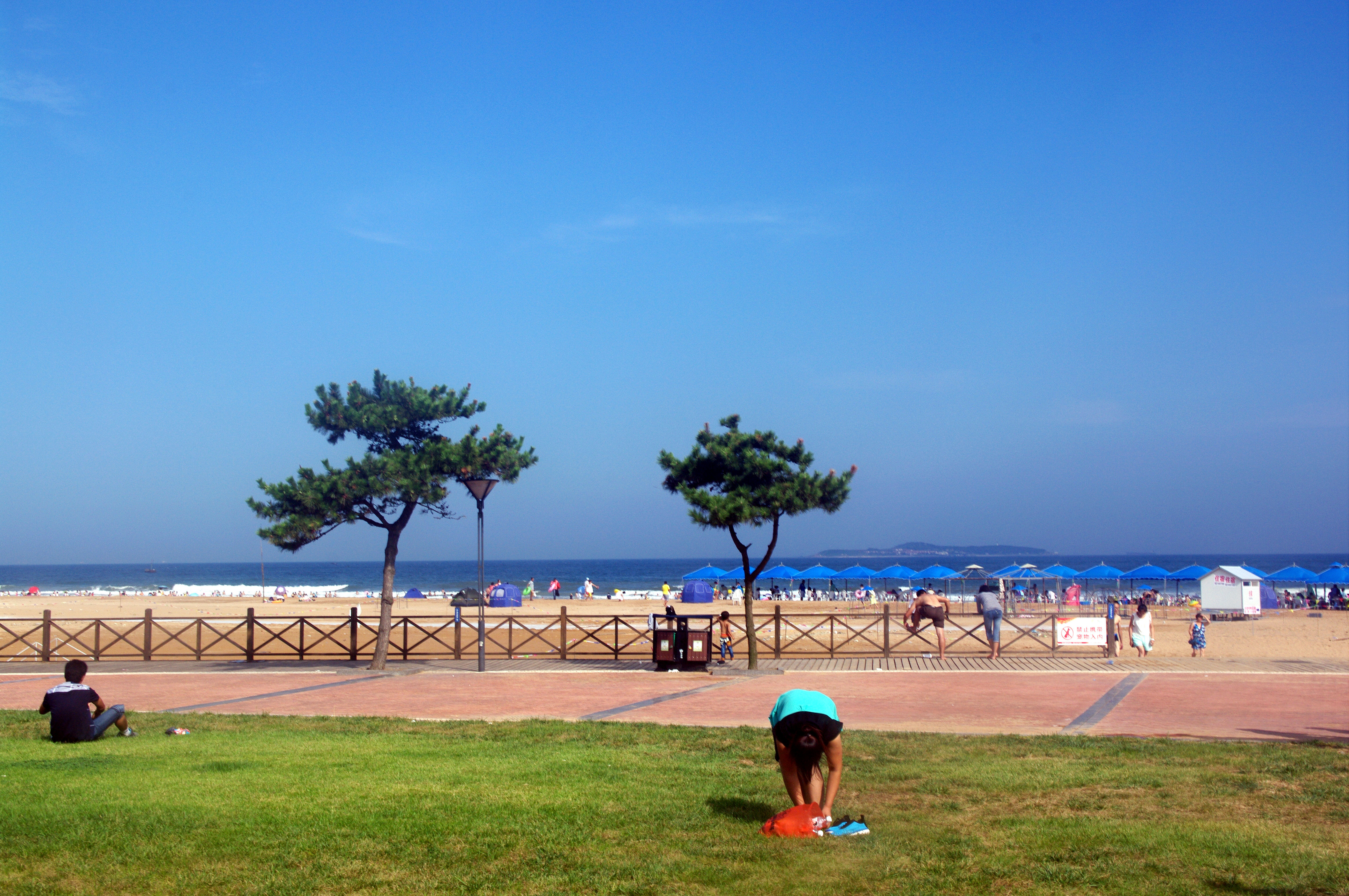 青岛金沙滩景点图片