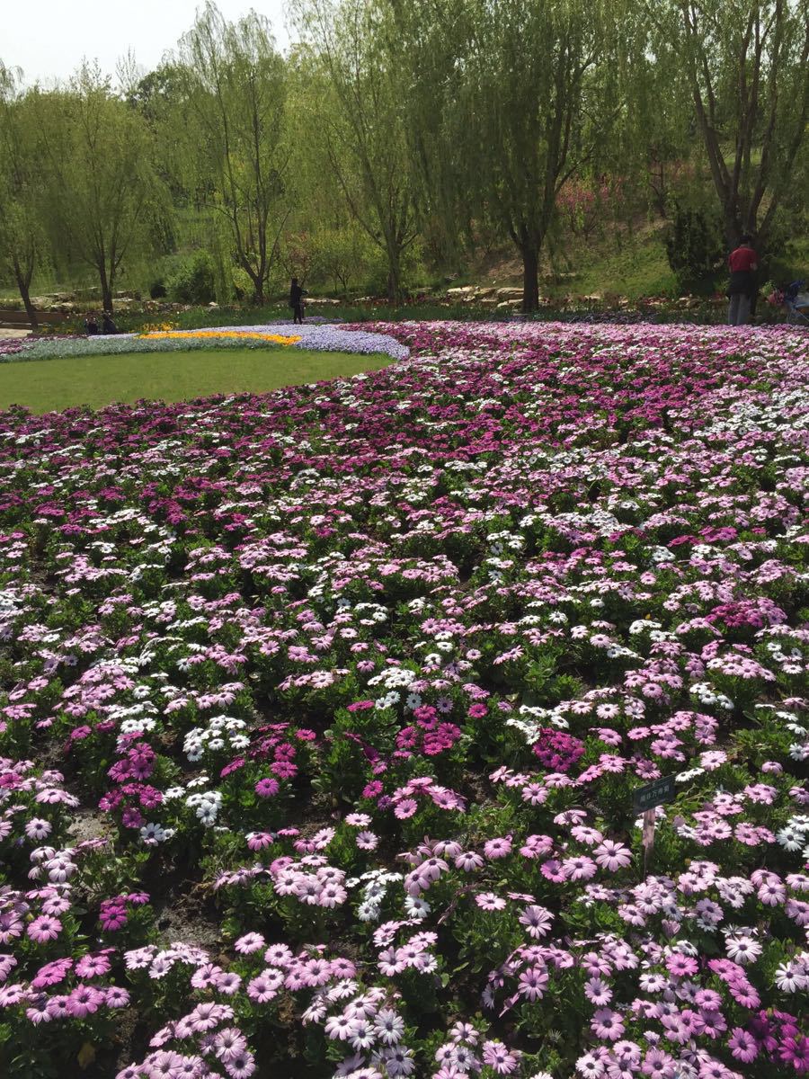 英歌石植物園