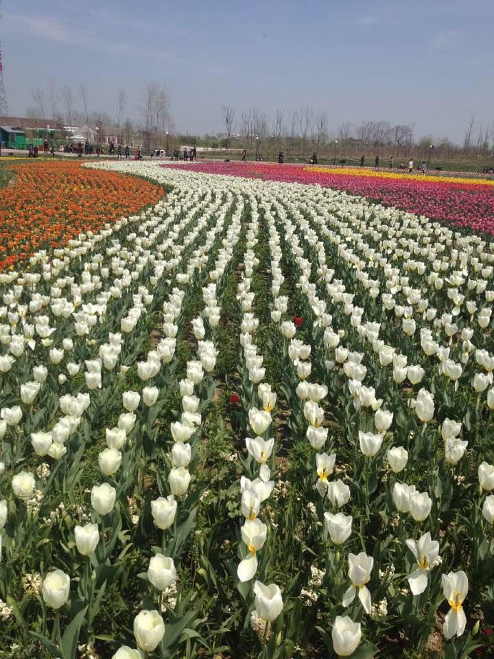 2022张衡公园游玩攻略,景色确实是不错的,空气特别. 【去哪儿攻略】