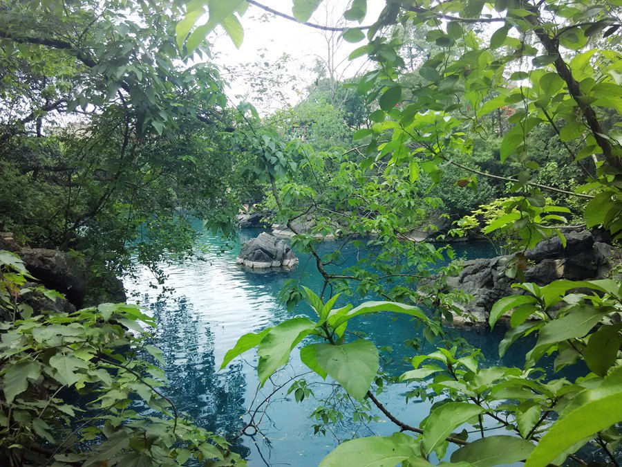 享千家宴游罗波潭,武鸣骆越风情浓郁