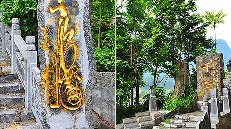 阳朔大印人文景观园攻略-大印人文景观园门票价格多少钱-团购票价预定