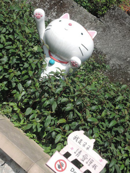 【BlackCat】初見“台灣”—西線篇-旅人制造
