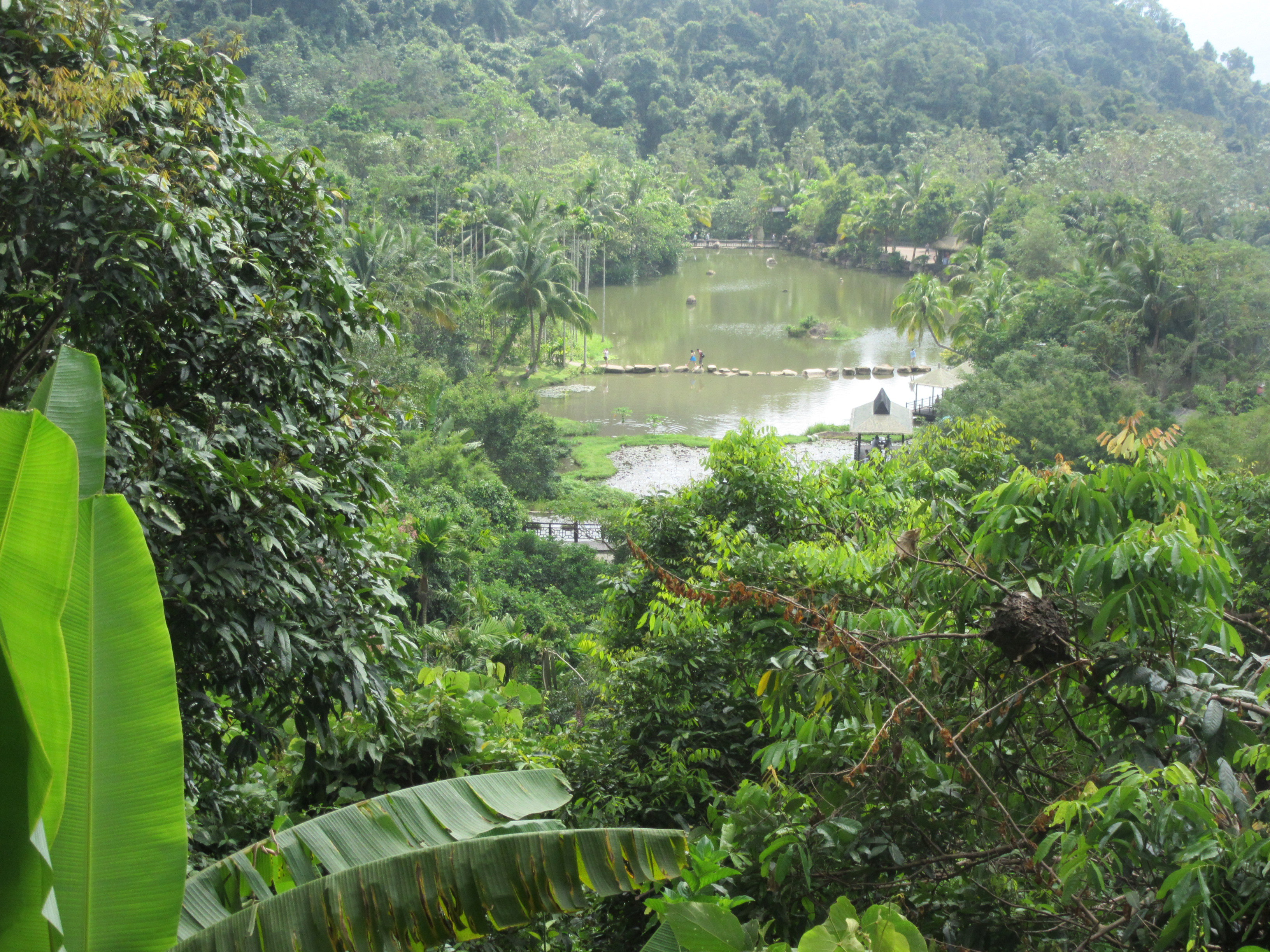 【携程攻略】保亭呀诺达雨林文化旅游区景点,呀诺达,离三亚市区35公里