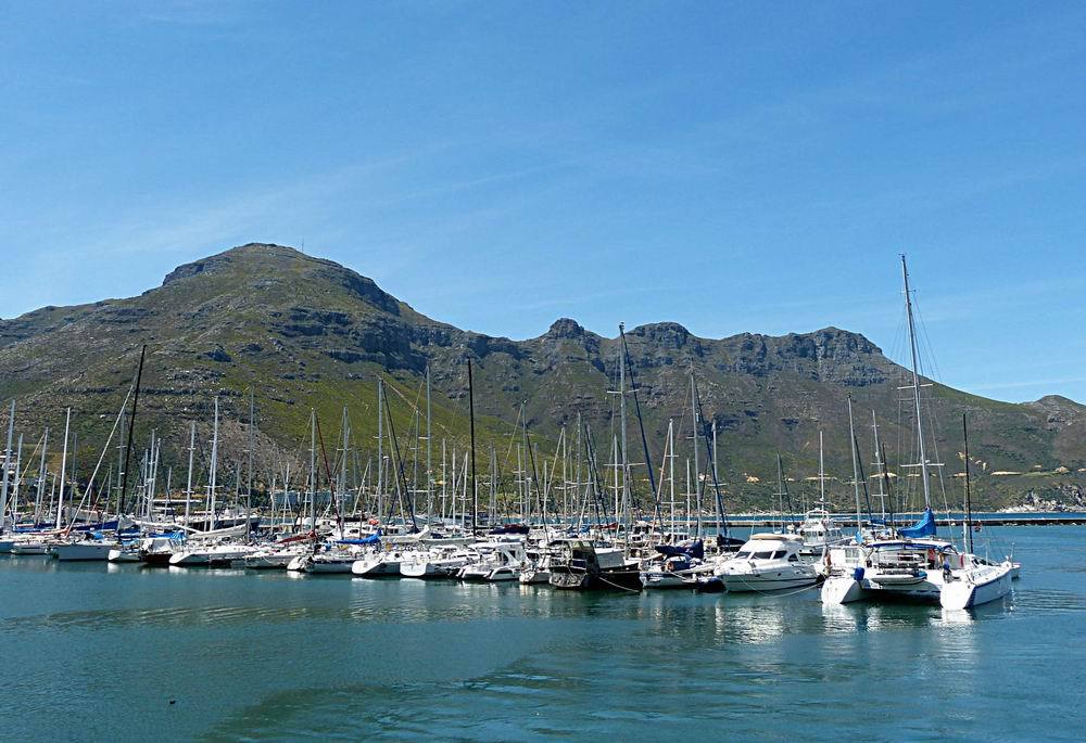 2019豪特湾_旅游攻略_门票_地址_游记点评,开普敦旅游景点推荐 - 去