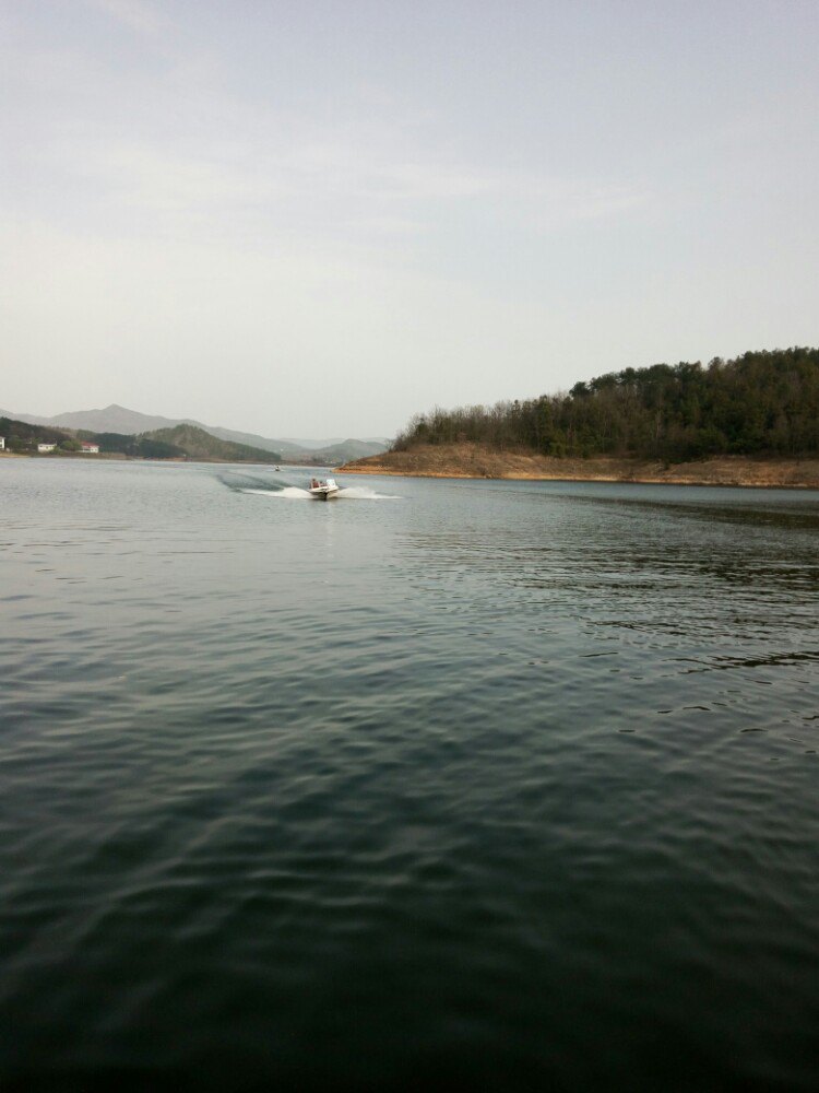 2023观音湖生态文化旅游度假区游玩攻略,桃花开的时候去的,一进大门.