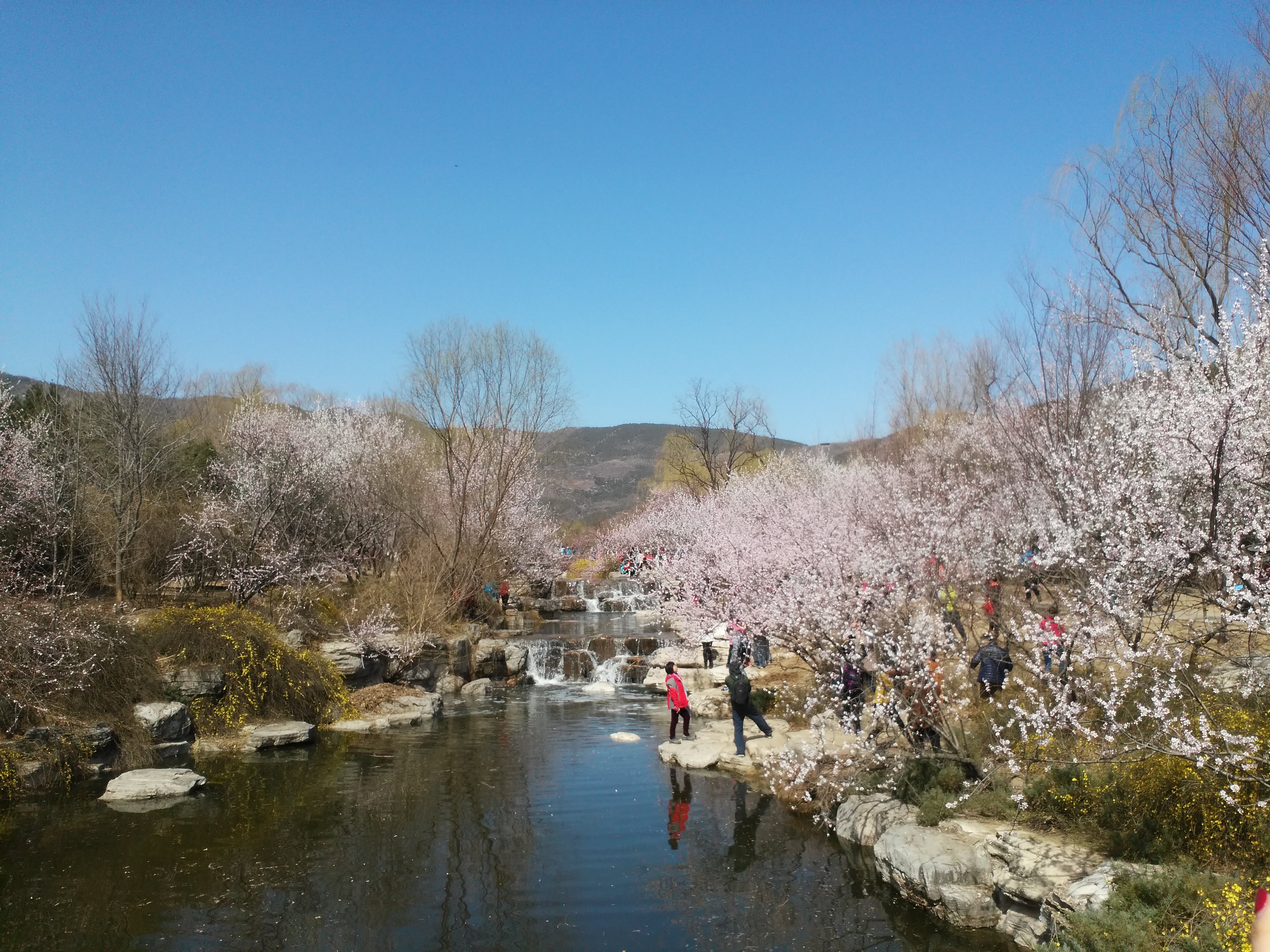 北京植物園