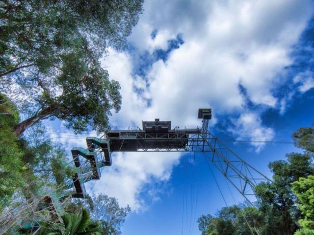 AJ Hackett雨林蹦极