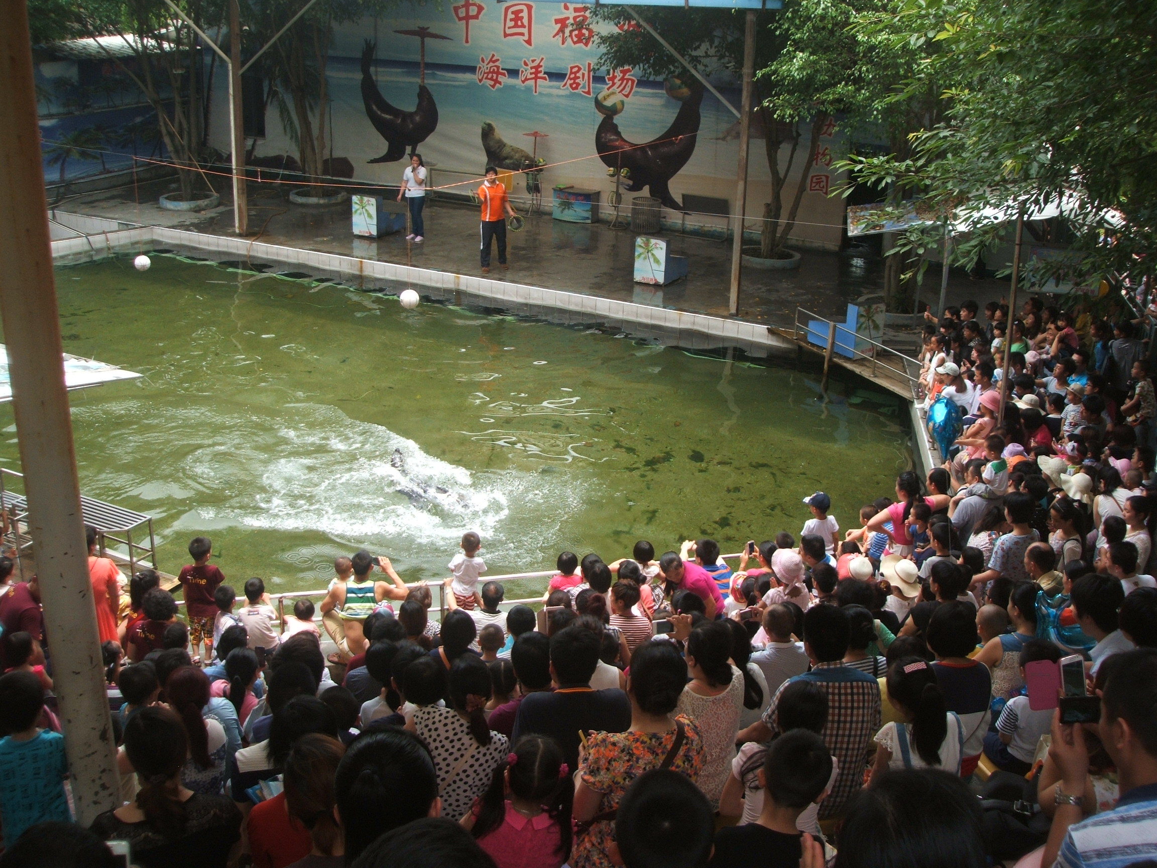 現在新的動物園環境好.也衛生.有海獅表演.地方也比原先大很多