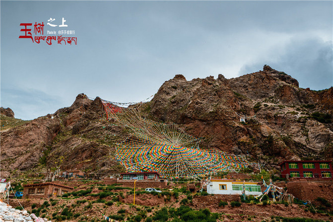 写给玉树的一首情诗