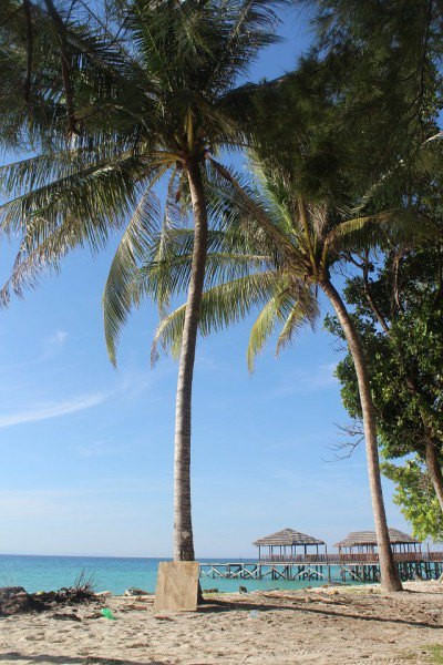 一次青春的旅行,恋上美人鱼岛4