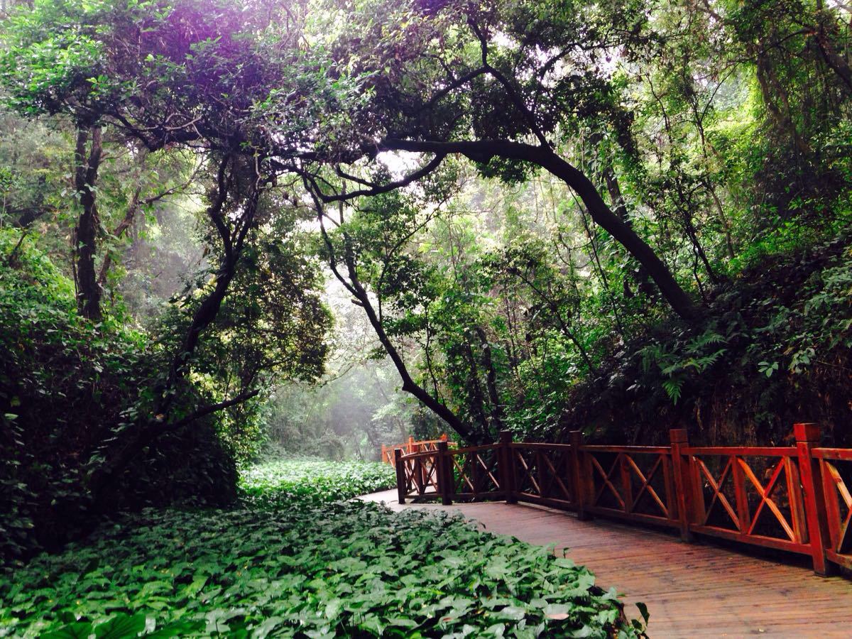 陇西县gdp_陇西县地图(3)