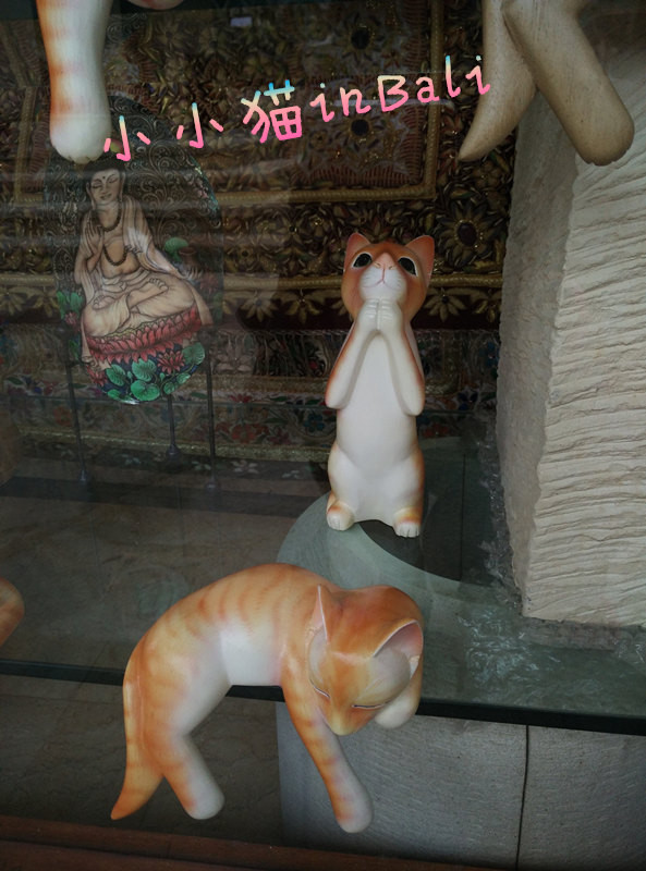 南纬8°巴厘岛+新加坡转机(含菜单中英文)(入