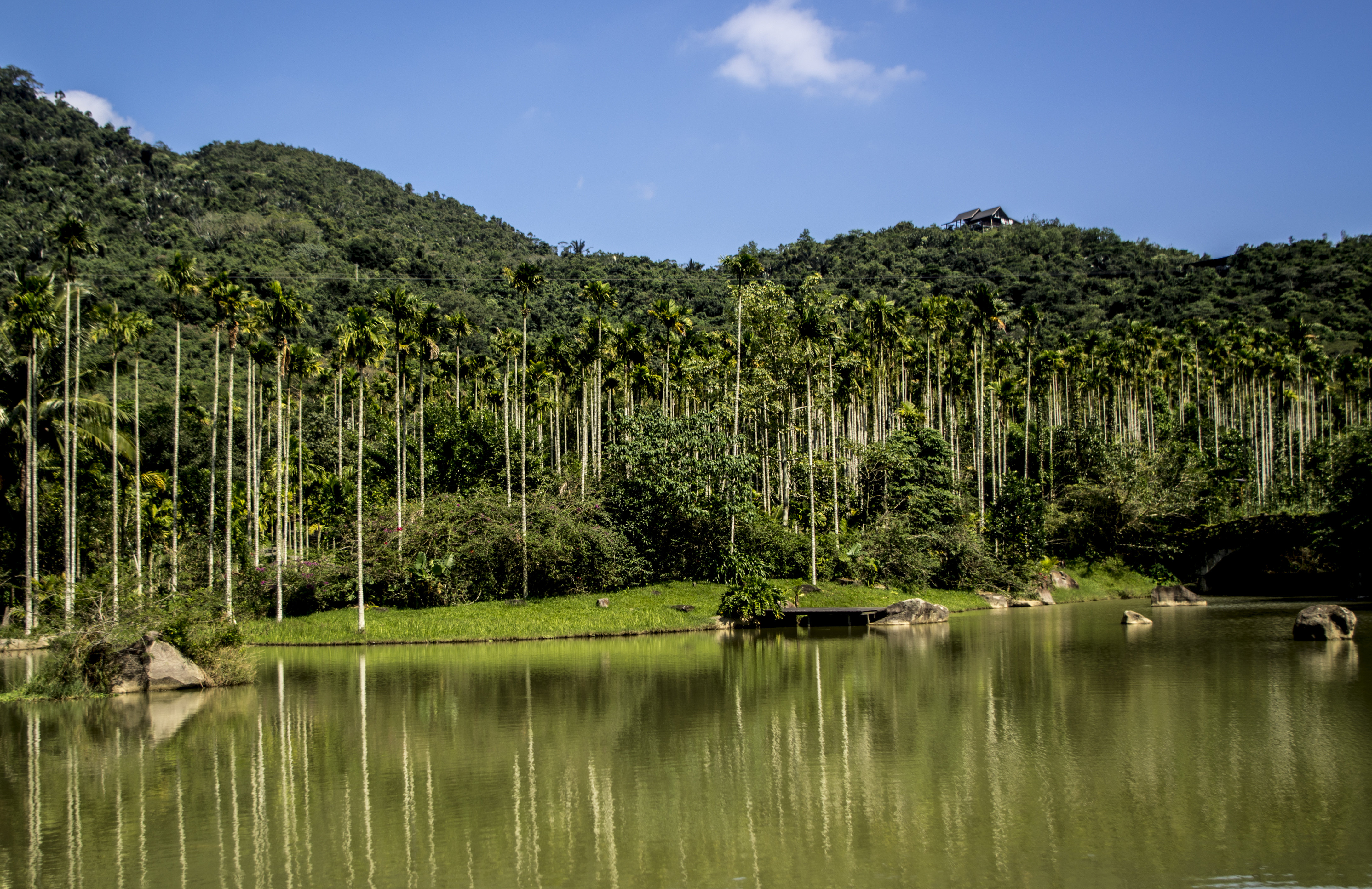 三亚呀诺达雨林文化旅游区 槟榔谷一日游【雨林呼吸