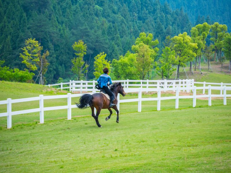 千岛湖进贤湾马术公园攻略-进贤湾马术公园门票价格多少钱-团购票价