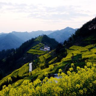 歙县王村霸王山图片