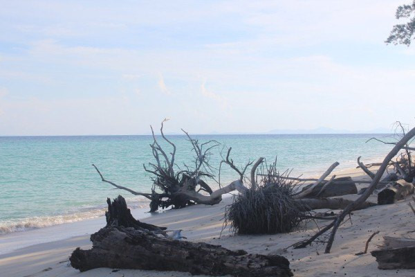 一次青春的旅行,恋上美人鱼岛4