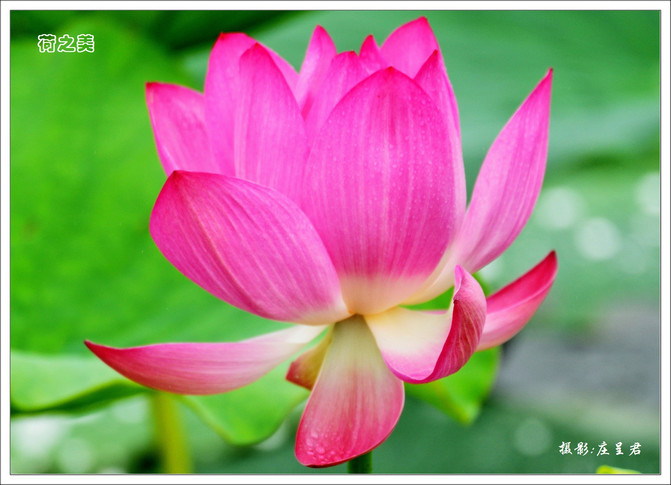 CghzgVWeqbeAaToiAAcXKAFsAo4120_R_671_10000_Q90.jpg?proc=autoorient