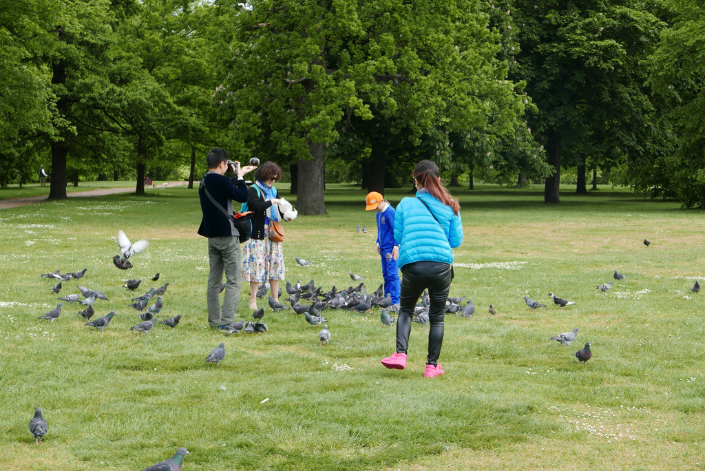 演讲者之角(speakers corner)