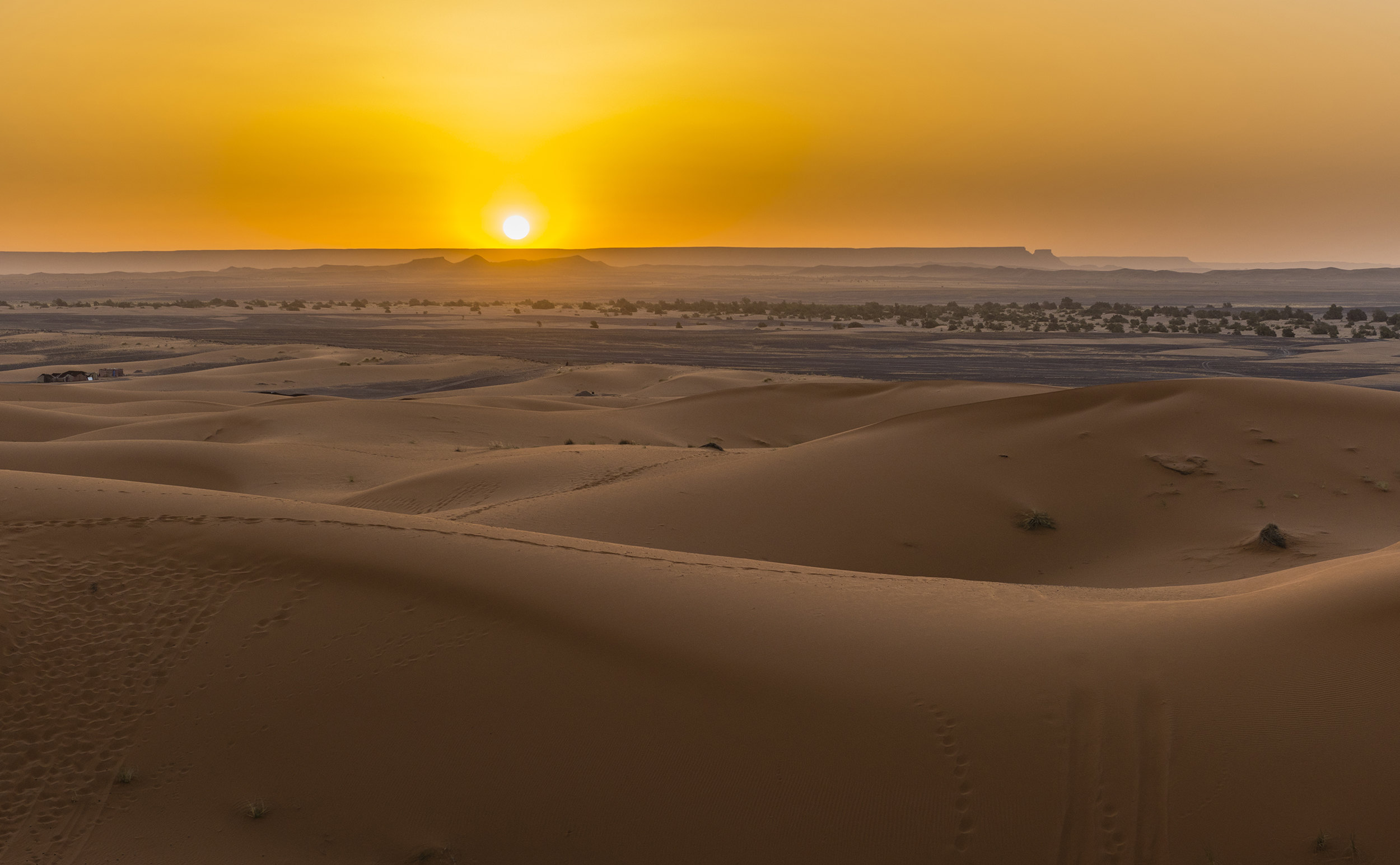 腾格里沙漠——生命如此多娇|画廊|中国国家地理网
