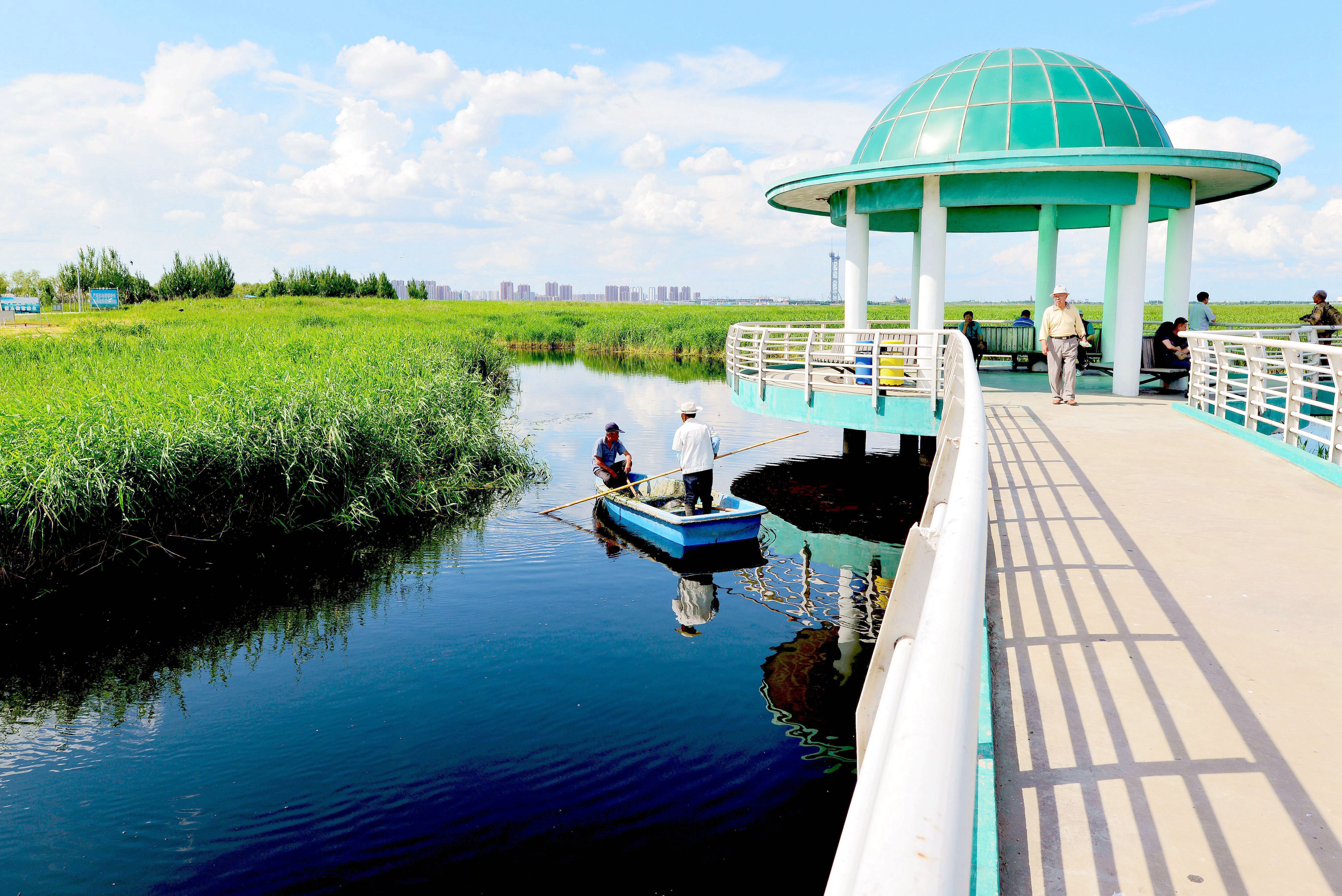 北碚龙凤溪湿地公园图片